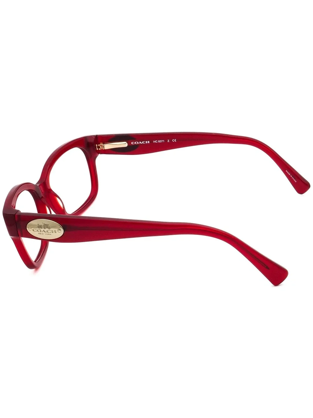 Coach HC 6071 5029 Eyewear